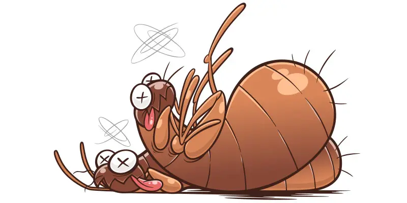 How Much is Pest Control for Fleas?