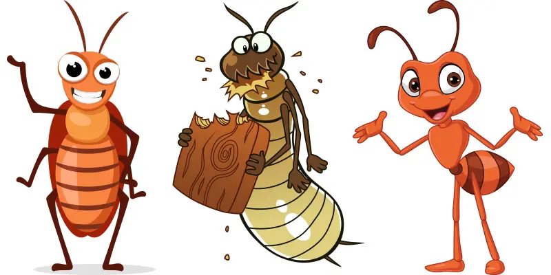 What Is The Hardest Pest To Get Rid Of?