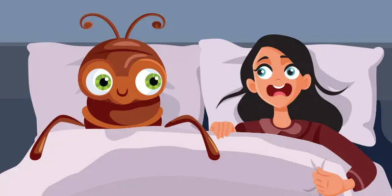 What’s Worse – Bed Bugs or Roaches and Why?