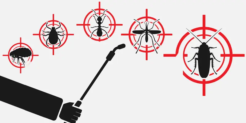 Is Professional Pest Control a Waste of Money?