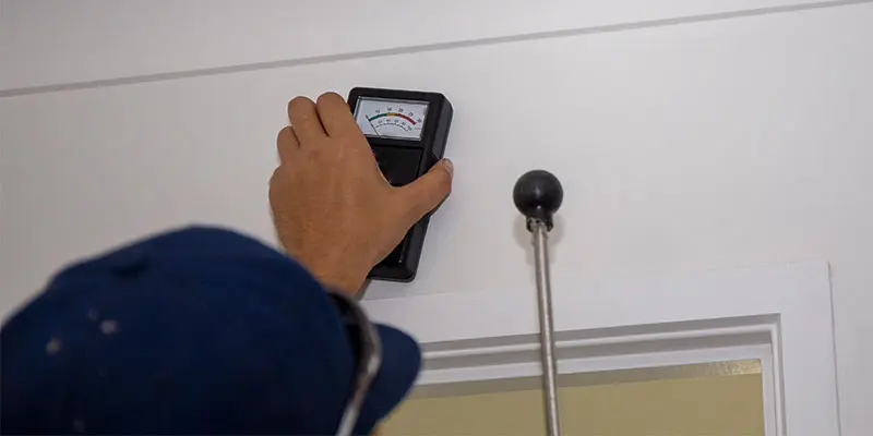 Why are Household Pests that You Don’t See the Most Dangerous