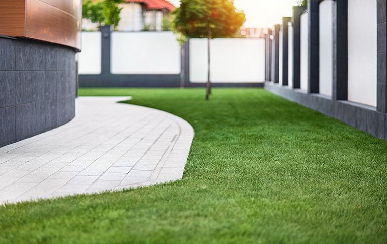 The Secret To A Perfectly Manicured Lawn In Jacksonville