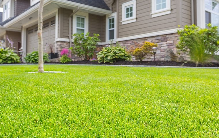 Tips To Keep Sod Webworms Off Of Your Jacksonville Lawn