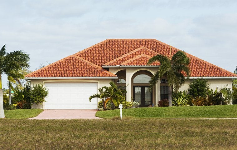 pest-free San Marco FL home