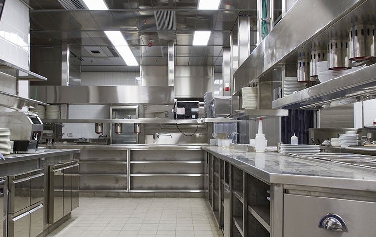 trads-home-pest-process restaurant kichen