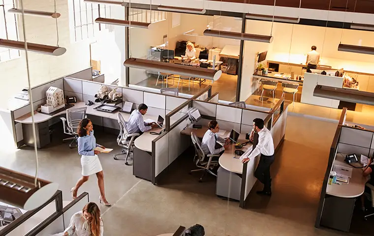 serving food in a pest-free restaurant pest control for offices