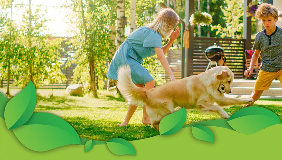 family playing on pest-free lawn